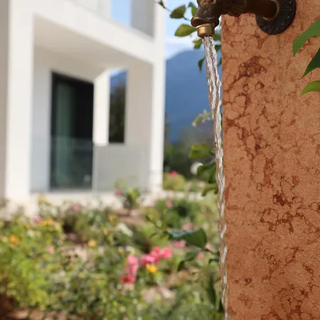 Midum Apartments Con Giardino 4* Trento