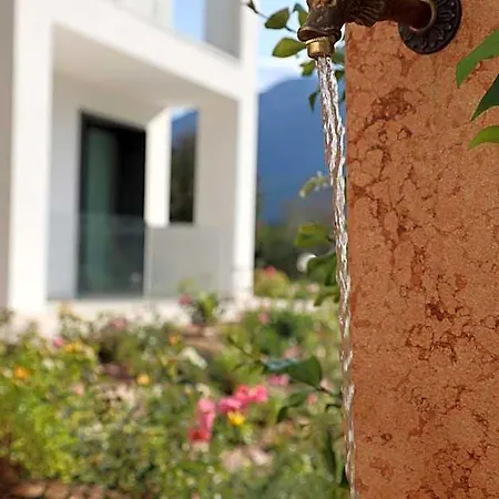 Hotel apartamentowy Midum Con Giardino