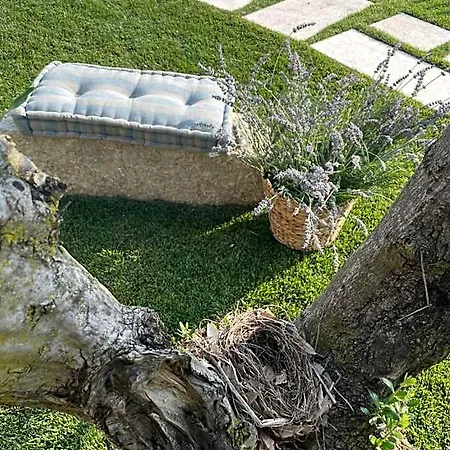 Midum Apartments Con Giardino 4*
