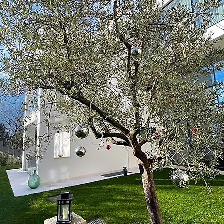 Midum Con Giardino Trydent