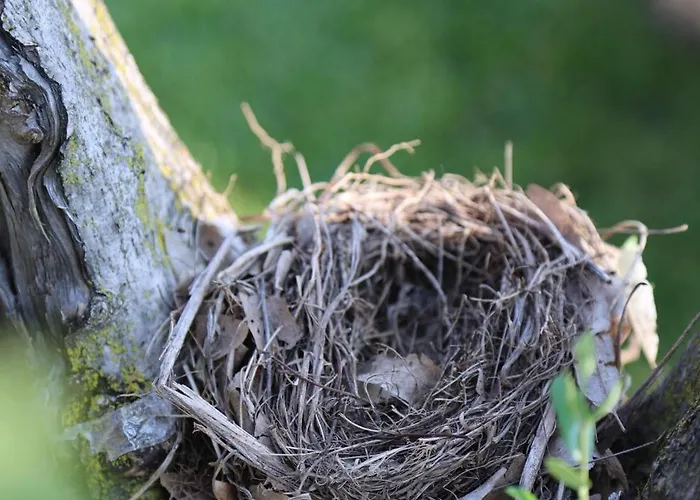 Midum Luxuryapartments Con Giardino Aparthotel 4*